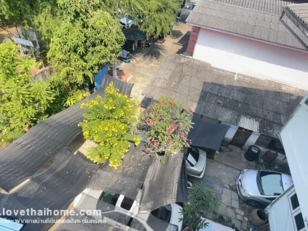 ขายที่ดินพร้อมบ้านและกิจการบ้านเช่า ถจรัญสนิทวงศ์ 35