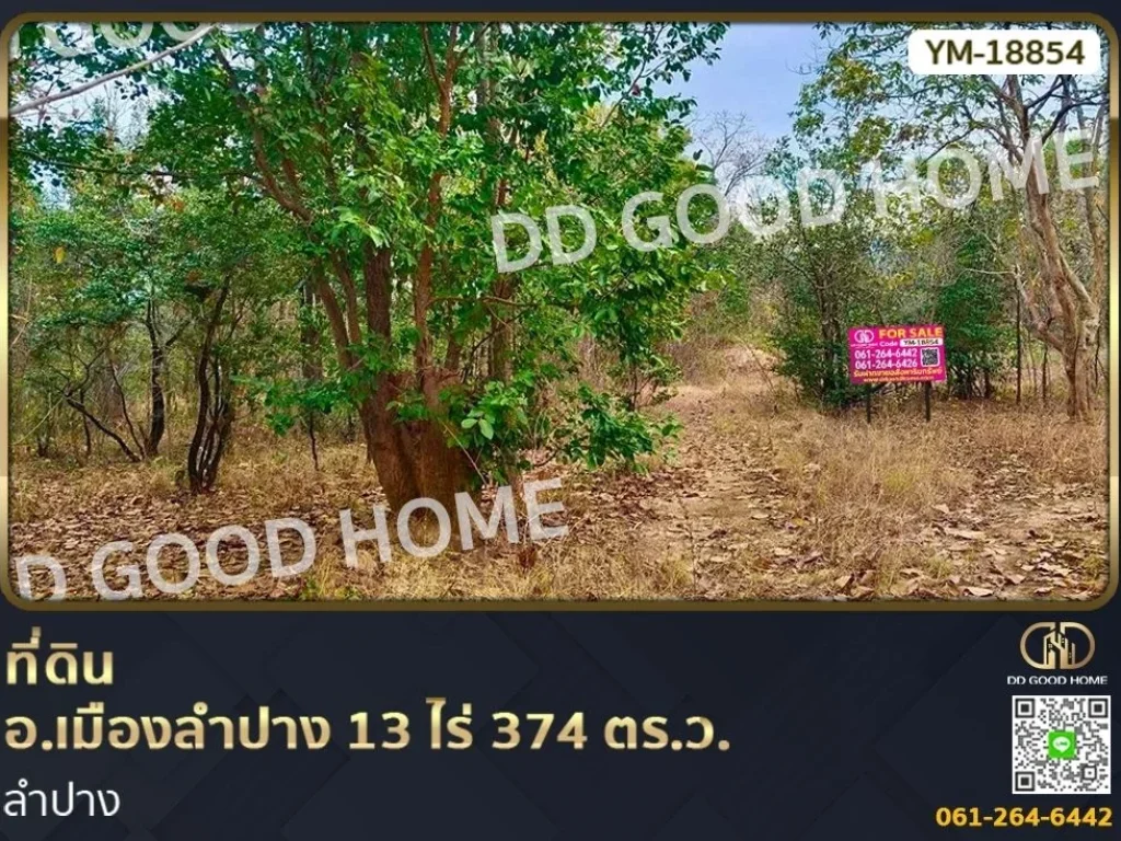 ที่ดิน อเมืองลำปาง 13 ไร่ 374 ตรว ลำปาง