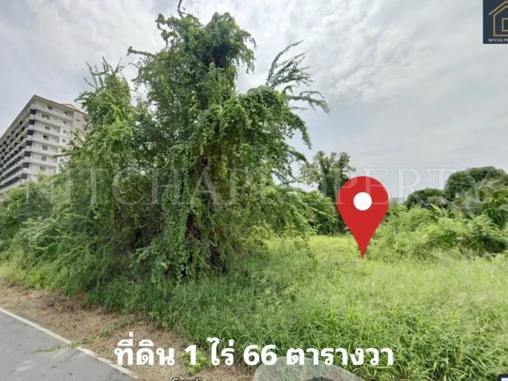 ที่ดิน 1 ไร่ ซอย ชะอำ 67 จเพชรบุรี ใกล้ถนนเพชรเกษม