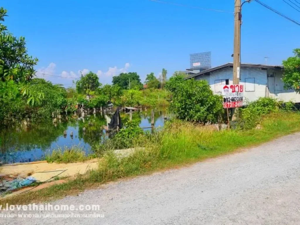 ขายที่ดินราคาถูก ถประชาอุทิศ 101 หลังตลาดทิพย์พลาซ่า