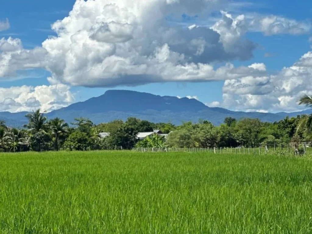 พลาดไม่ได้ ที่ดินถมแล้ว วิวภูเขาและวิวทุ่งนาสวย อเมือง