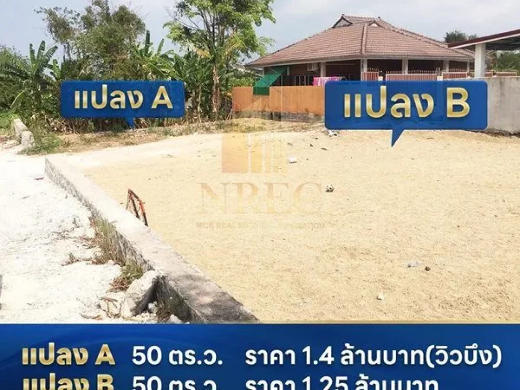 ขายที่ดินเปล่า 50 ตรว ตหนองปรือ อบางละมุง จชลบุรี