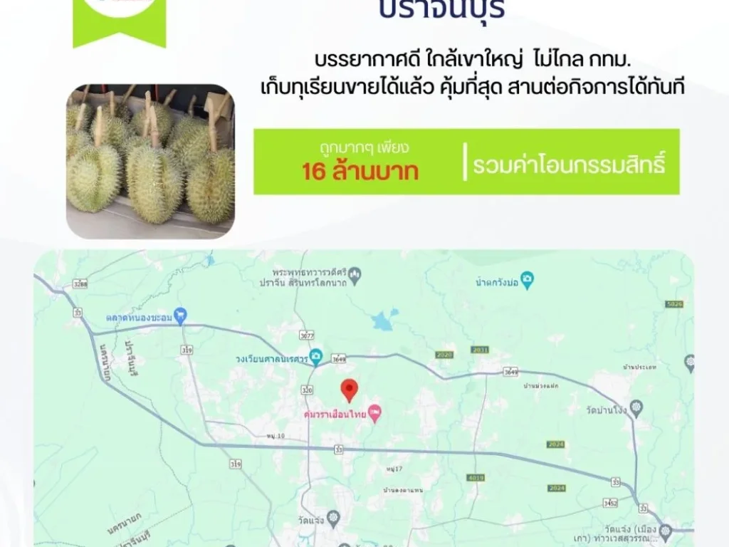 ที่ดินปราจีนบุรี 10 ไร่ พร้อมสวนทุเรียนหมอนทองปลอดสารพิษ 300