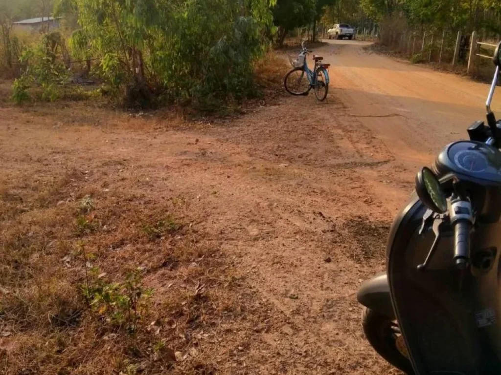 ขายที่ดิน 20 ไร่ เจ้าของขายเอง อำเภอกุฉินารายณ์