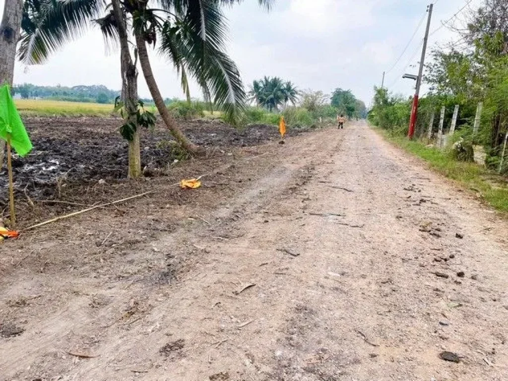 ที่ดิน100 ตรว คลอง7 หนองเสือ ปทุมธานี น้ำไฟถึงแล้ว