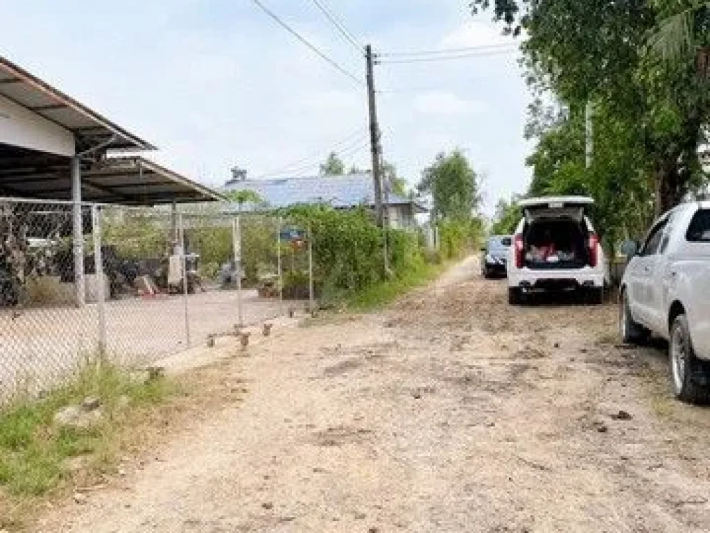 ที่ดิน100 ตรว คลอง7 หนองเสือ ปทุมธานี น้ำไฟถึงแล้ว