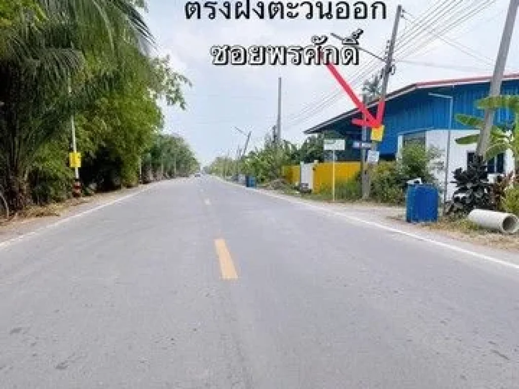 ที่ดิน100 ตรว คลอง7 หนองเสือ ปทุมธานี น้ำไฟถึงแล้ว