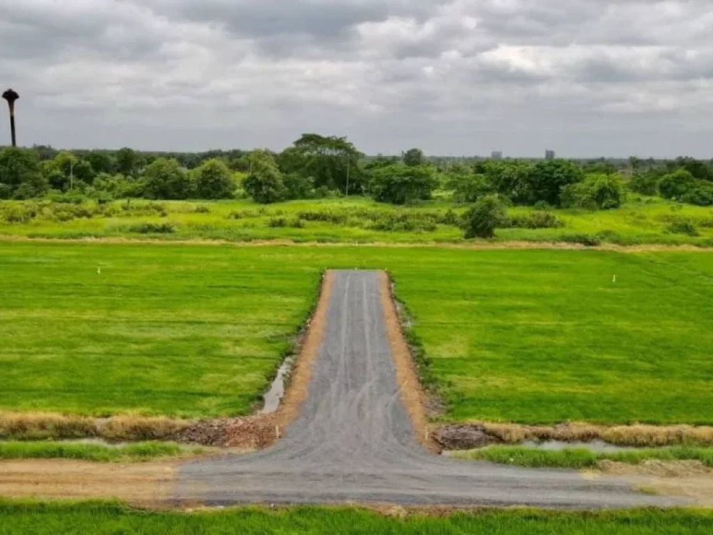 ขายที่ดินเงินผ่อน เริ่ม 110 ตรว คลองเก้า หนองเสือ ปทุมธานี