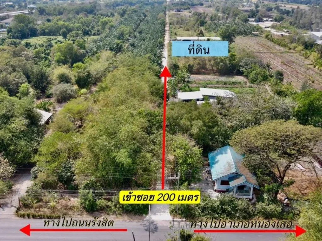 ขายที่ดินหนองเสือ 200 ตรว คลอง12 ถมแล้ว เหมา 950000 บาท