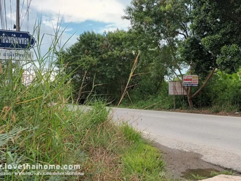 ขายถูกโรงงานปากเกร็ด คลองข่อย นนทบุรี พื้นที่ 500 ตรว