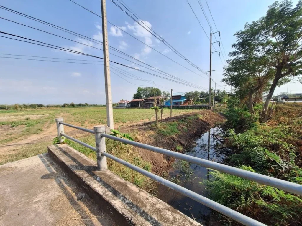 ขายที่ดินเปล่า 8-3-48 ไร่ ตท่าพล อเมือง จเพชรบูรณ์ ทำเลสวย