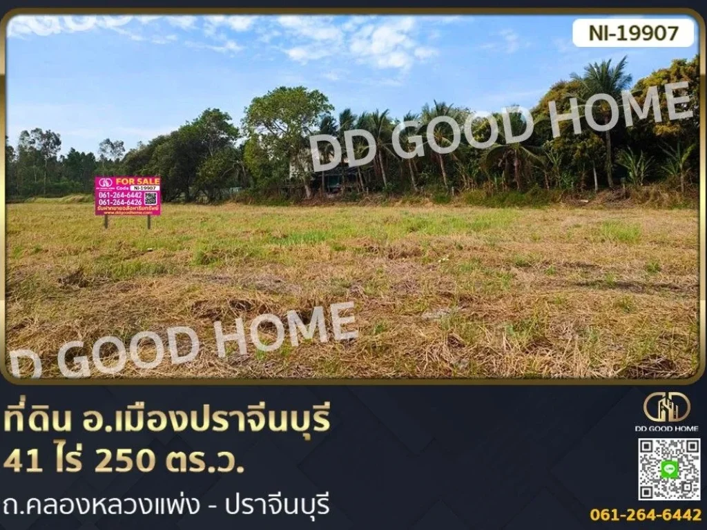 ที่ดิน อเมืองปราจีนบุรี 41 ไร่ 250 ตรว ถคลองหลวงแพ่ง -