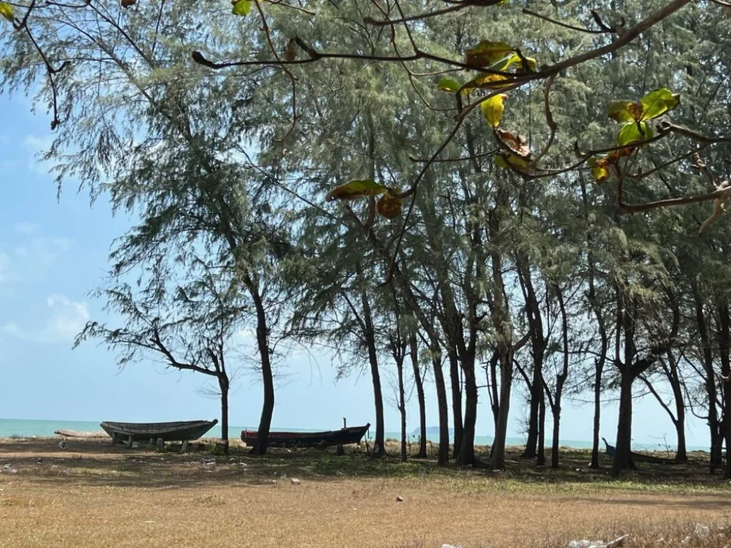 ขายด่วน ที่ดินทำเลทองติดถนน 2 ด้าน ใกล้หาดบางหอย ขนาด 22 ไร่