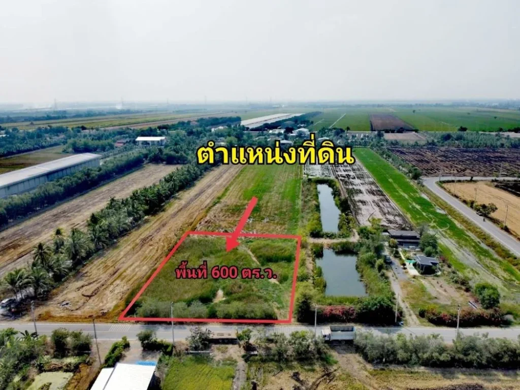 ขายที่ดิน ไทรใหญ่ เนื้อที่ 1-2-0 ไร่ วัดสโมสร