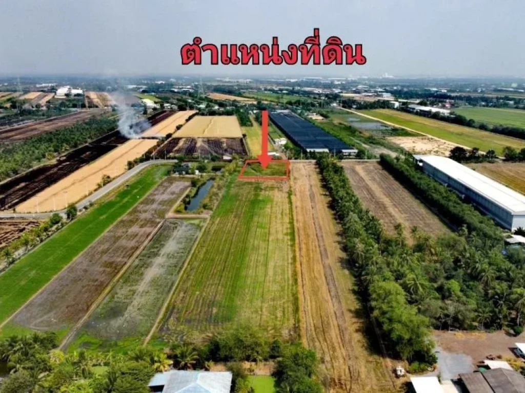 ขายที่ดิน ไทรใหญ่ เนื้อที่ 1-2-0 ไร่ วัดสโมสร