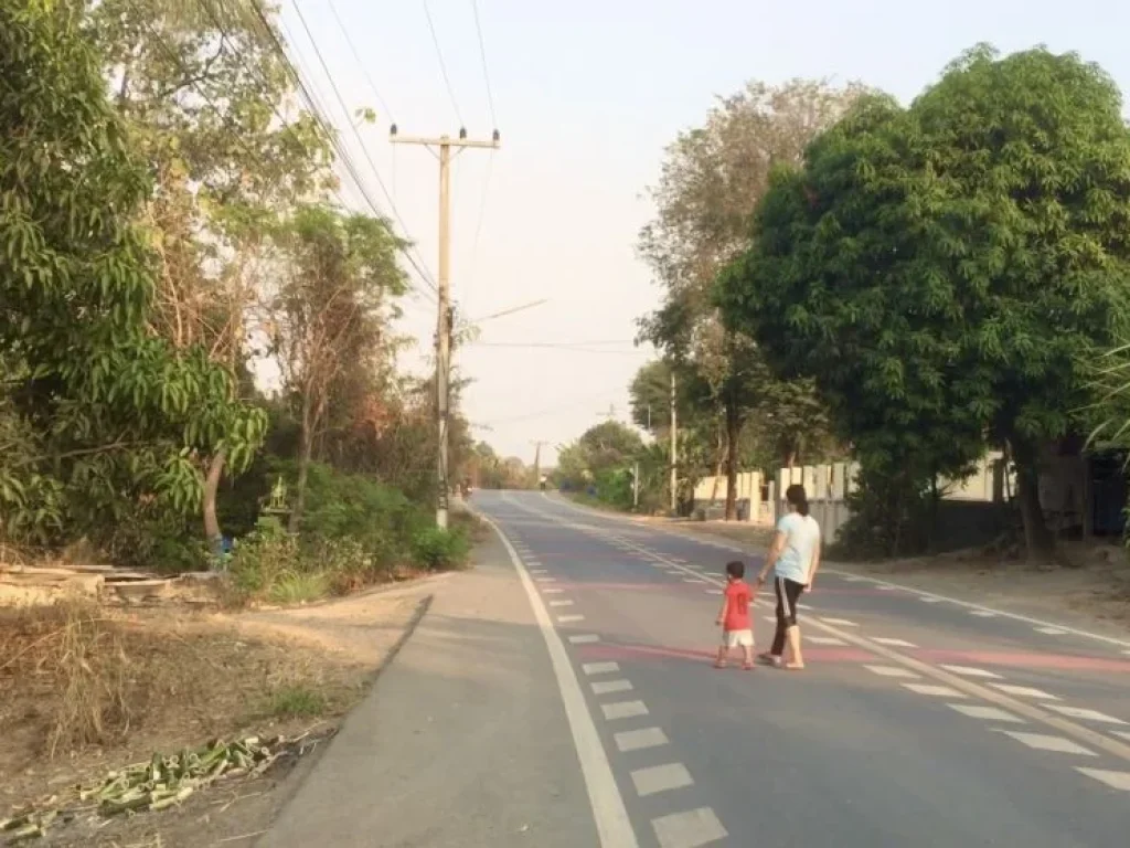 ที่นาเหมาะทำโคกหนองนา ราคาถูกใกล้กรุงเทพ ติดถนนลาดยาง