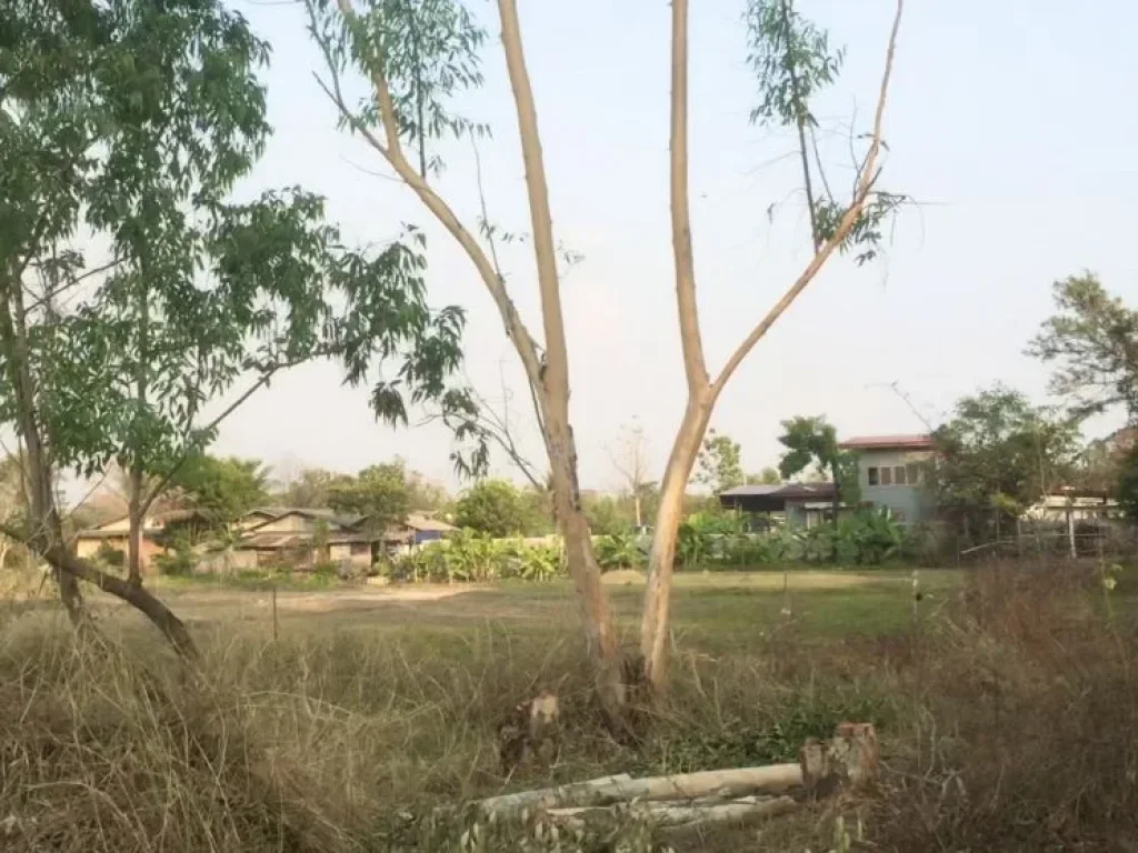 ที่นาเหมาะทำโคกหนองนา ราคาถูกใกล้กรุงเทพ ติดถนนลาดยาง