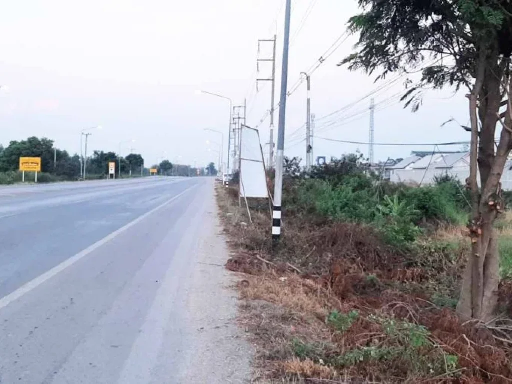 ขายที่ดินติดถนนสุพรรณ-ป่าโมก โคกโคเฒ่า เมืองสุพรรณบุรี