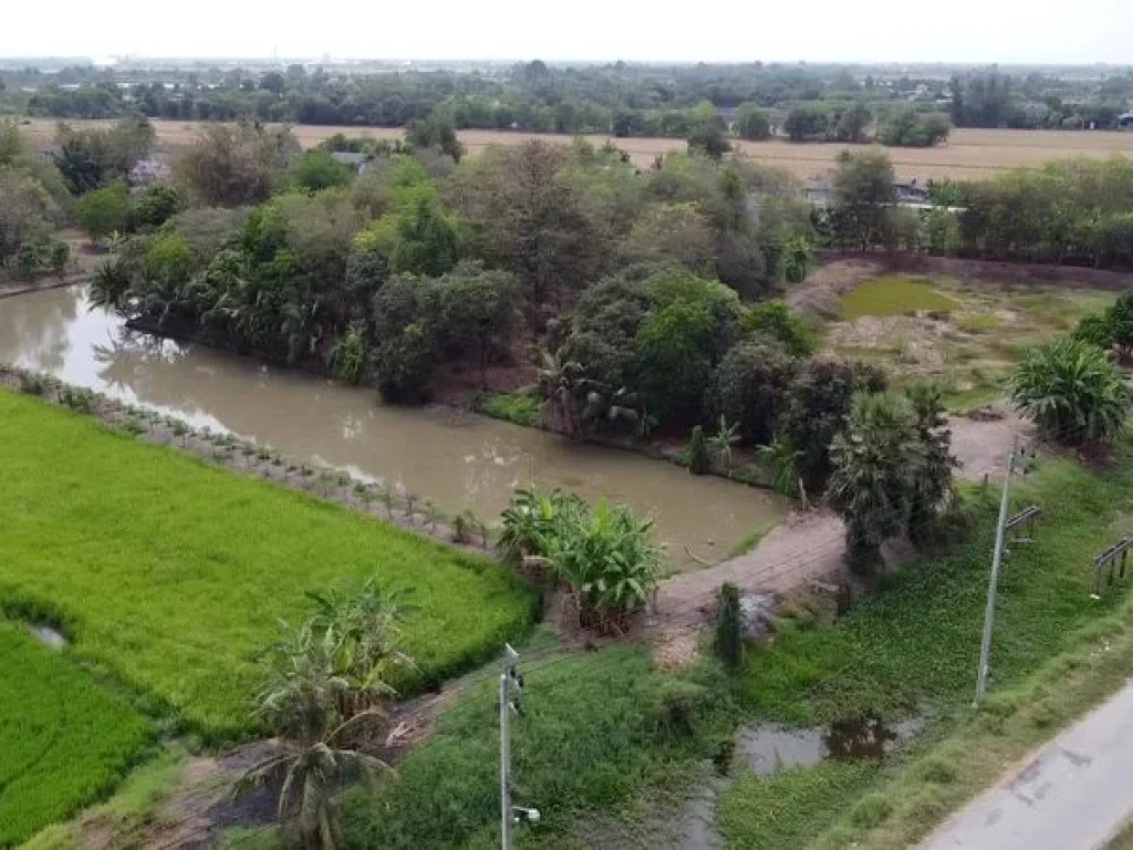 ขายที่ดิน ซอยสุวินทวงศ์ 96 ถนนสุวินทวงศ์ หนองจอก