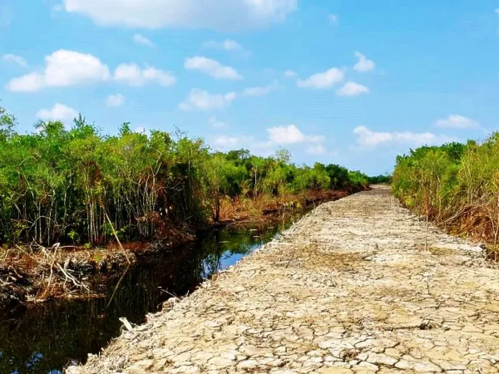 ขายที่ดินติดทะเล ใกล้ถนนลพบุรีราเมศวร์ ติดทะเลสาปสงขลา