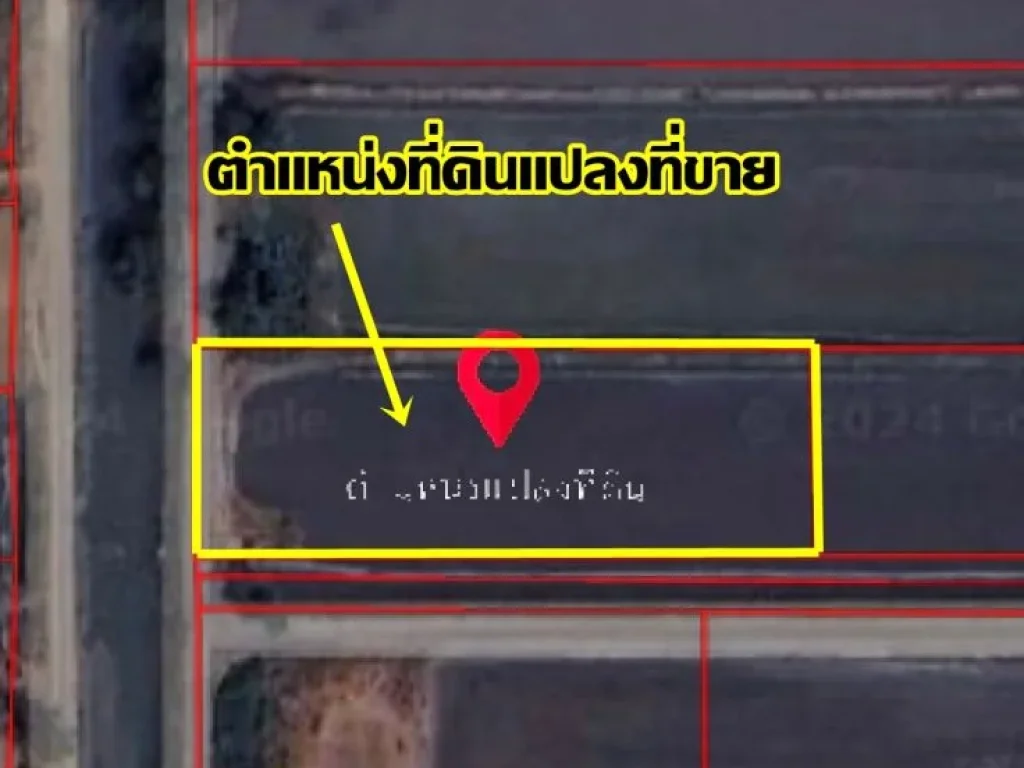 ขายด่วนที่ดิน คลอง5ตะวันตก58 คลองห้า-คลองหลวง ปทุมธานี