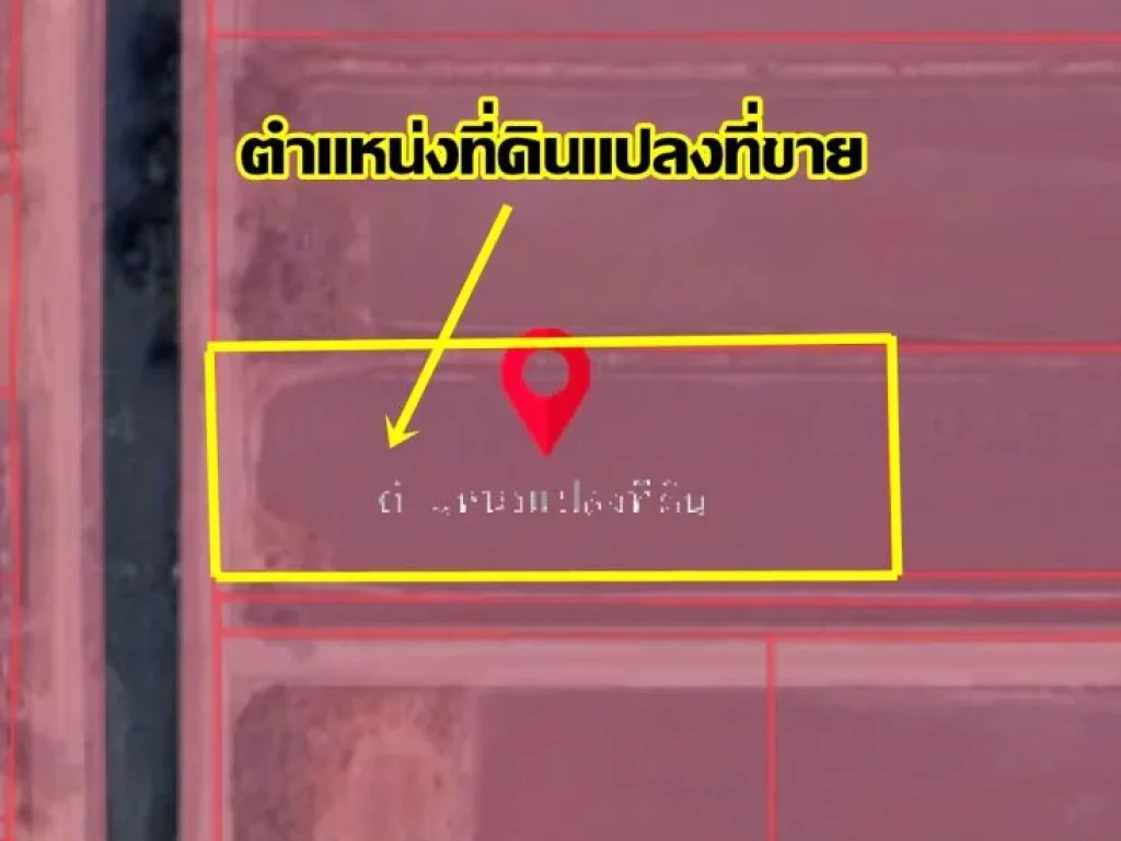 ขายด่วนที่ดิน คลอง5ตะวันตก58 คลองห้า-คลองหลวง ปทุมธานี