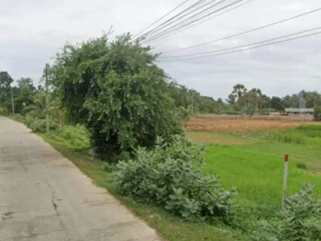 ที่ดิน เมืองเพชรบุรี ถมดิน ขุดสระ เรียบร้อย น้ำ ไฟฟ้า