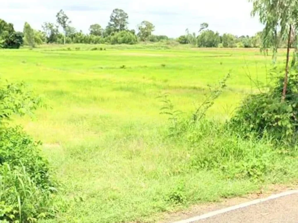 ที่แปลงสวย ราคาถูก โฉนด ติดถนนลาดยาง มีแหล่งน้ำ บุรีรัมย์