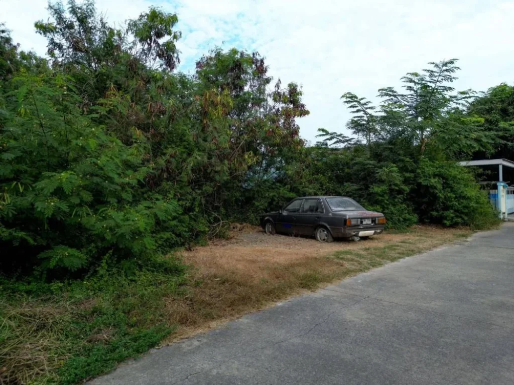 ถูกที่สุดในย่านนี้ ที่ดิน 184 ตรว ทำเลดี อหนองแค