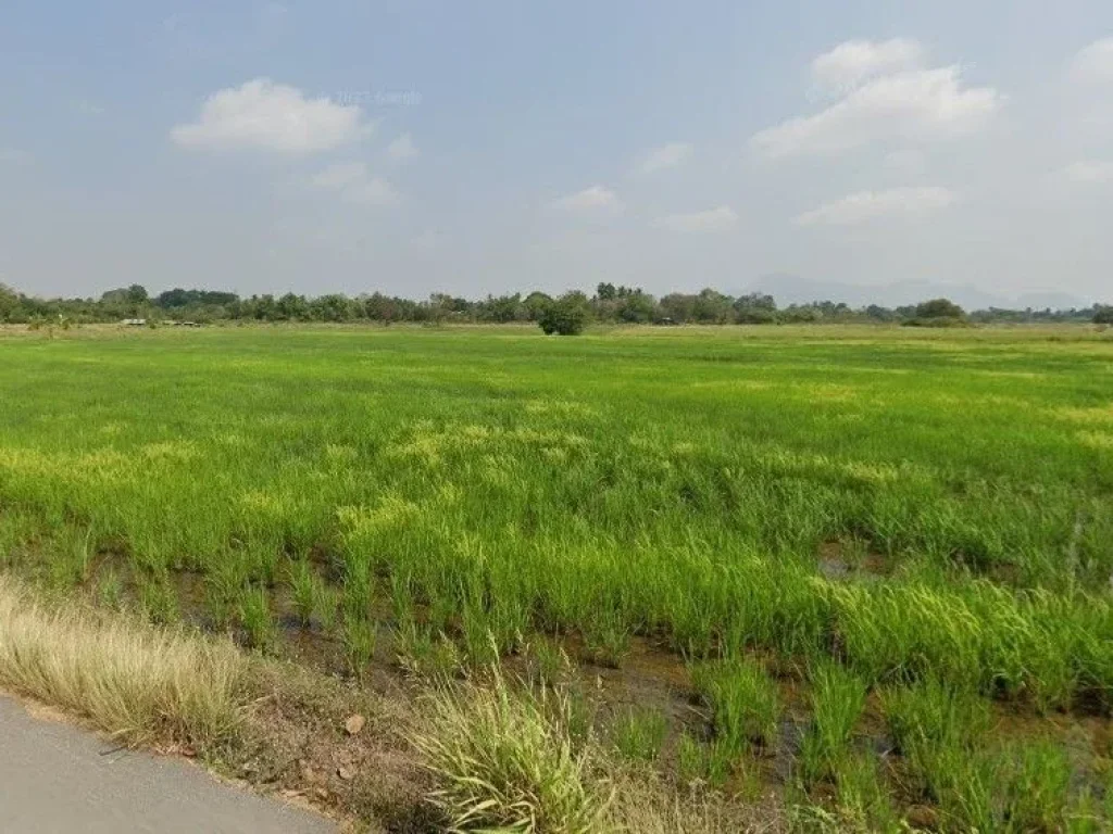 ขายที่ดิน เนื้อที่ 3ไร่ ติดถนนลาดยาง ตำบล หนองบัว บ้านหมอ