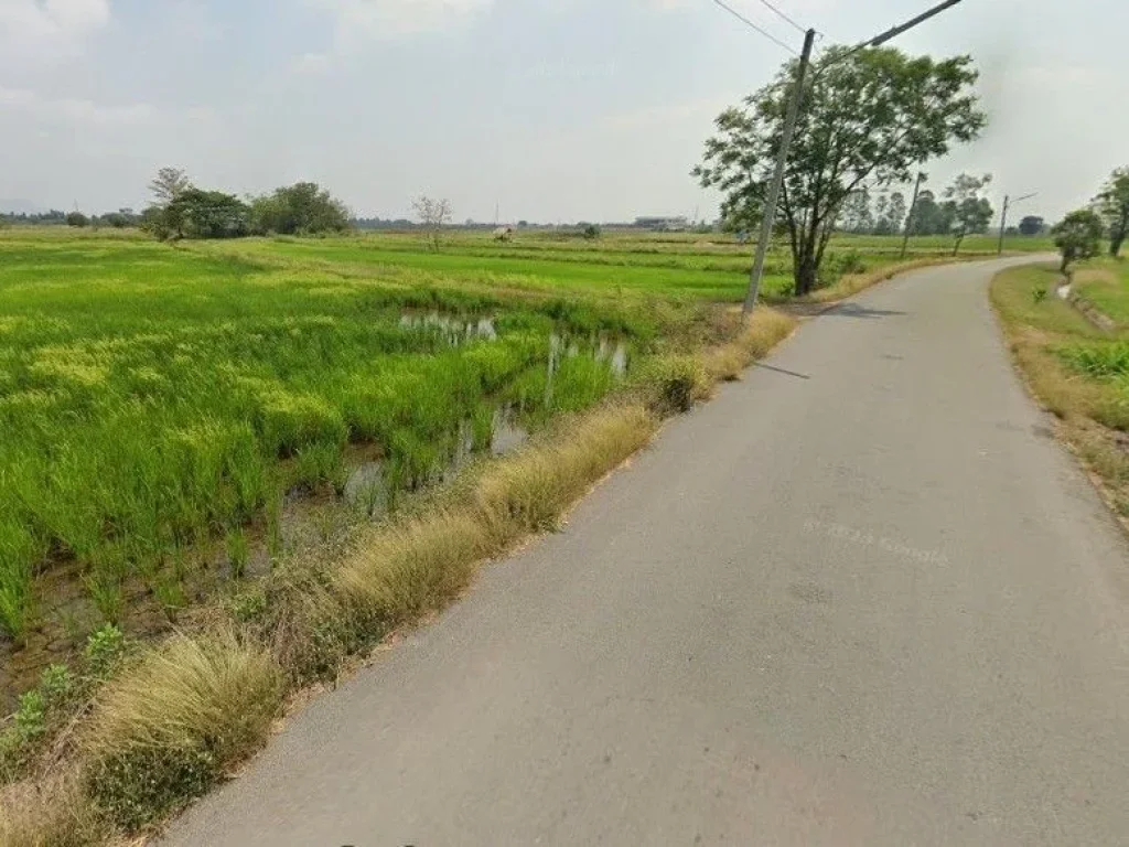 ขายที่ดิน เนื้อที่ 3ไร่ ติดถนนลาดยาง ตำบล หนองบัว บ้านหมอ