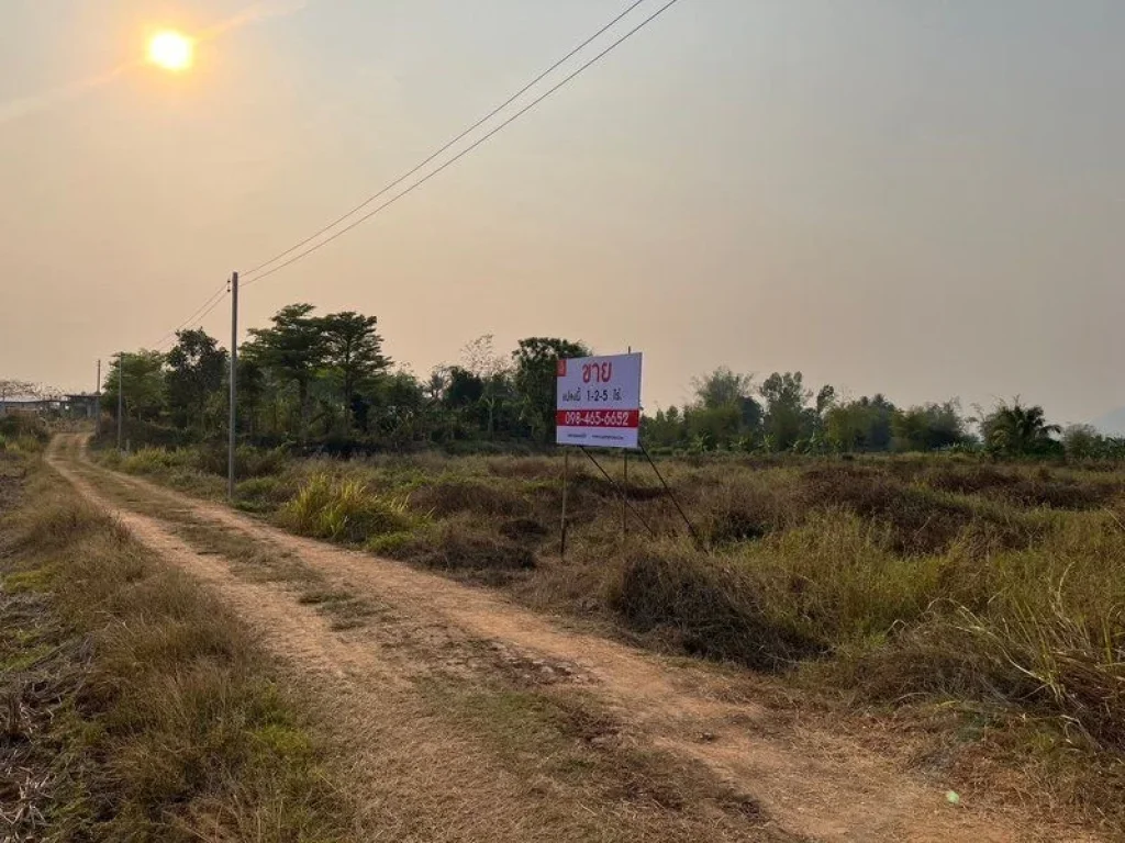 ขาย ที่ดิน ตชัยพฤกษ์ เมืองเลย จเลย ใกล้ศาลากลางจังหวัดเลยเ