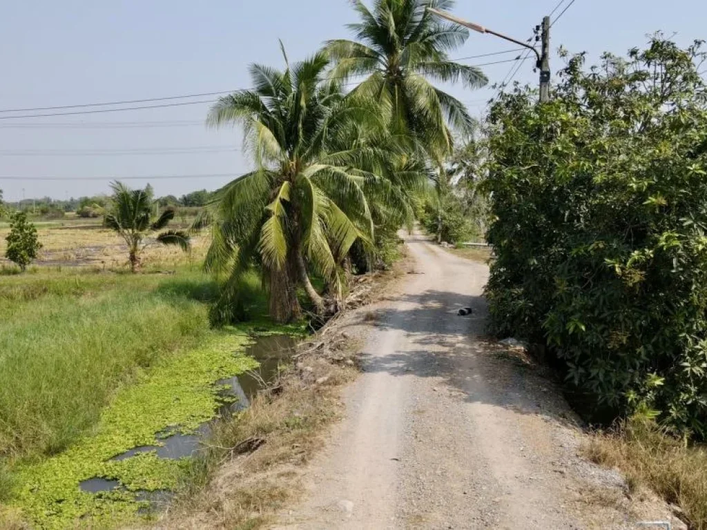 ขายที่ดินบึงบา 4 ไร่ คลอง9 ซอยขุนดี ใกล้เทศบาลหนองเสือและถนน