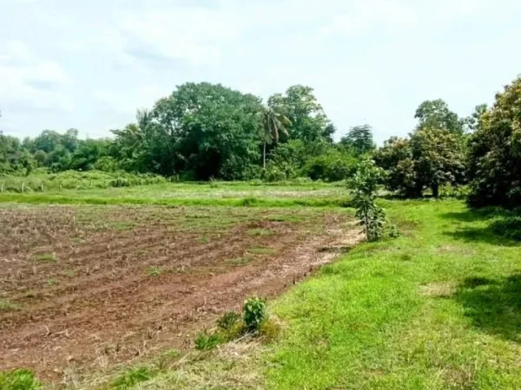 ที่ดินอยู่อาศัย หรือทำสวนผลไม้ มีแหล่งน้ำ อท่าปลา อุตรดิตถ์