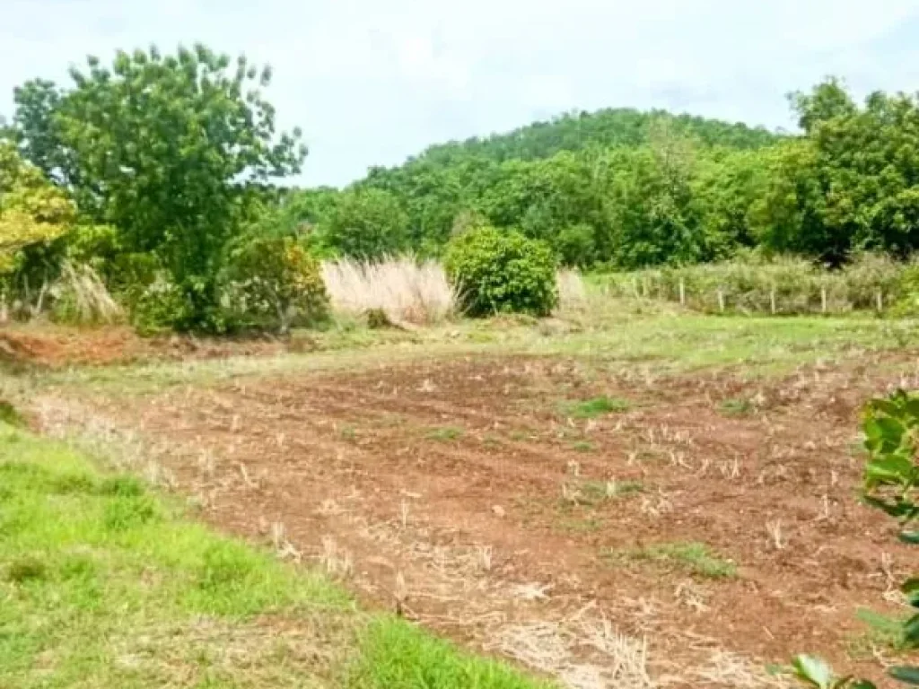 ที่ดินอยู่อาศัย หรือทำสวนผลไม้ มีแหล่งน้ำ อท่าปลา อุตรดิตถ์