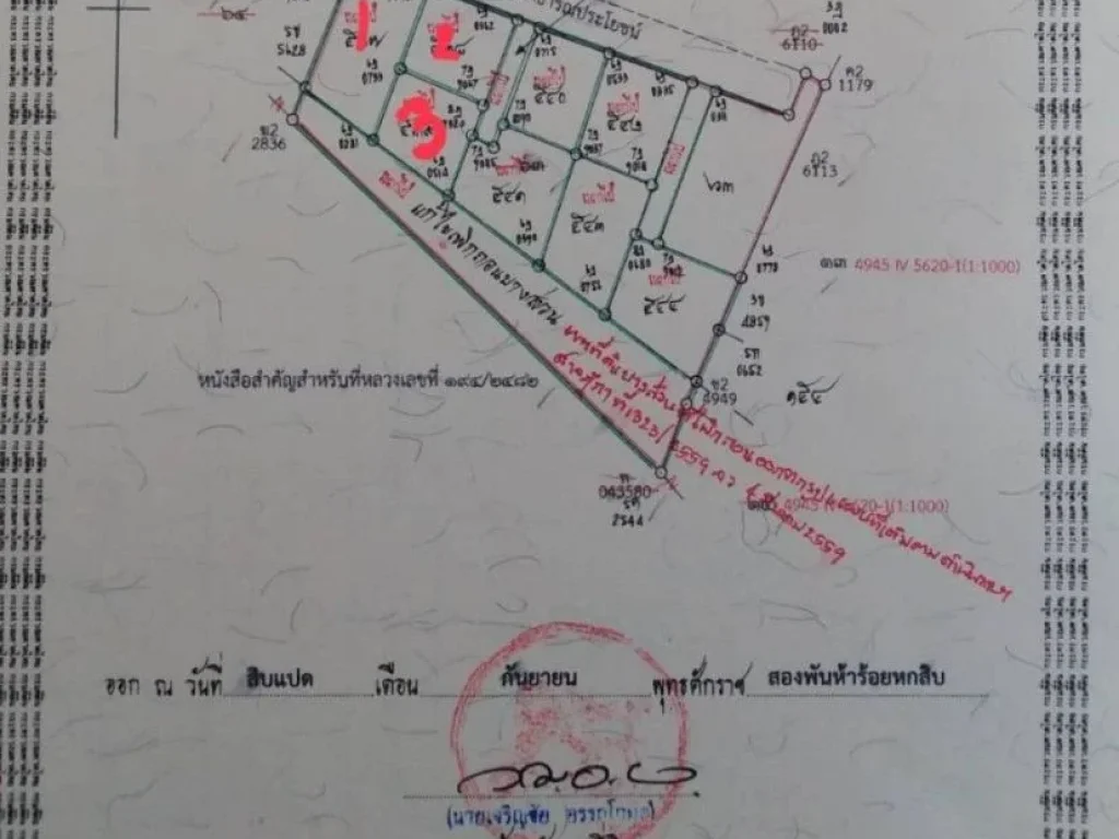 ขายที่ดินด่วน เจ้าของขายเองราคาถูกสวยๆ ครุฑแดง