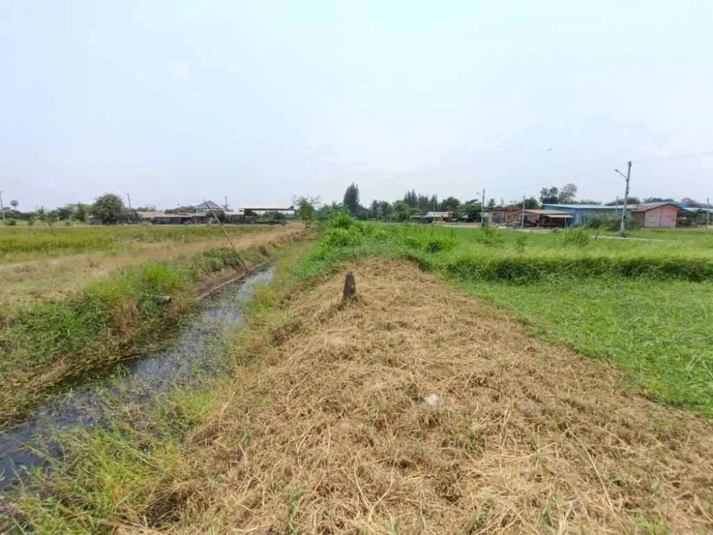 ขายที่ดินแถมบ้าน เริ่ม 100 ตรว ผ่อนได้ ตสระกะเทียม เมือง