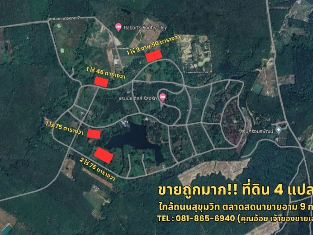 ขายถูกมาก ที่ดินทำเลทอง 4 แปลง ใกล้ตลาดสดนายอามและถนนสุขุม