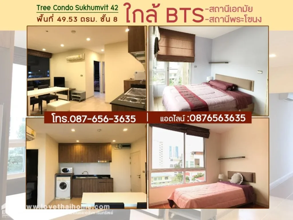 ขายคอนโดซอยสุขุมวิท42 Tree Condo Sukhumvit 42 ใกล้ BTS เอกมัย