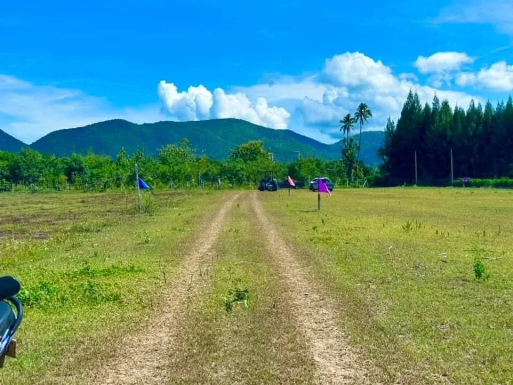 ที่ดิน ชะอำ เพชรบุรี ขนาด 100 ตรวา ผ่อนได้