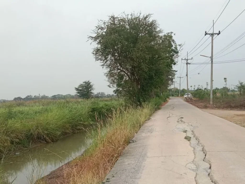 ขายที่ดินโฉนด เนื้อที่ 30 ไร่ ติดถนนคอนกรีต ใกล้ถนนสุวรรณศร