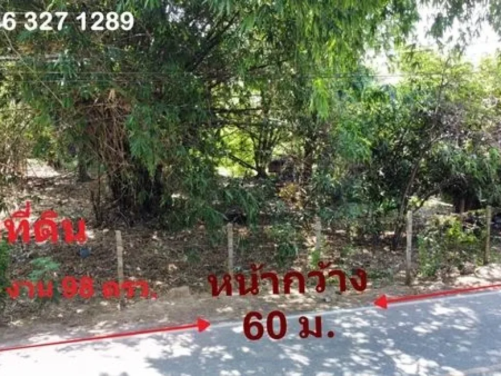 ขายที่ดิน เชียงใหม่ ดอนแก้ว สารภี ติดถนน เนื้อที่ 798 ตรว