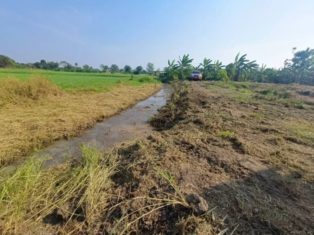 ขายที่ดิน ตสวนป่าน เริ่ม150 ตรวเหมาะทำเกษตรเมือง นครปฐม