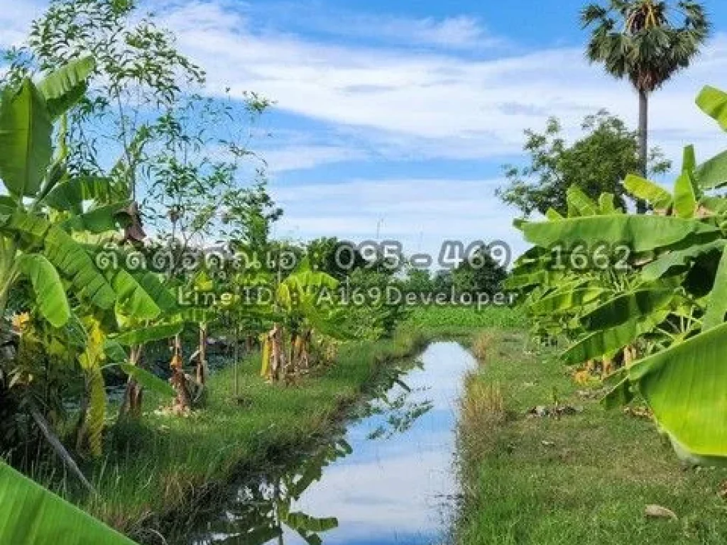 ขายบ้านสวน บ้านเดี่ยว พร้อมอยู่ บรรยากาศ วิวภูเขา