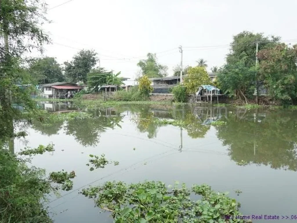 ขายที่ดิน ติดริมน้ำธรรมชาติ 376 ตรวศาลาธรรมสพน์ อากาศดีมาก