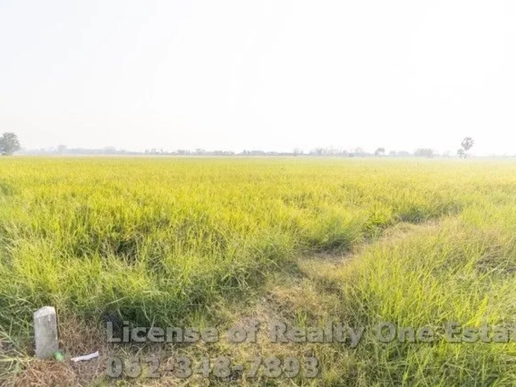 ขาย ที่ดิน ที่นา ตแสวงหา อแสวงหา จอ่างทอง ราคาถูก