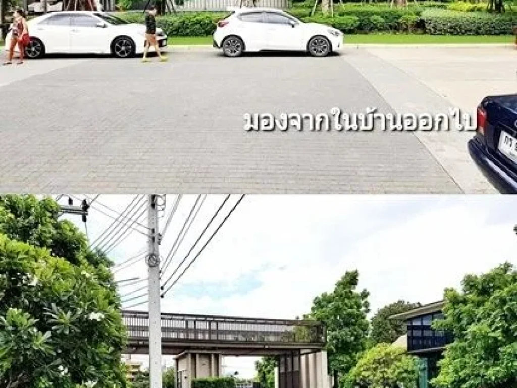 เพียวเพลส รังสิต คลอง 2 ให้เช่าทาวน์เฮาส์ 2 ชั้น