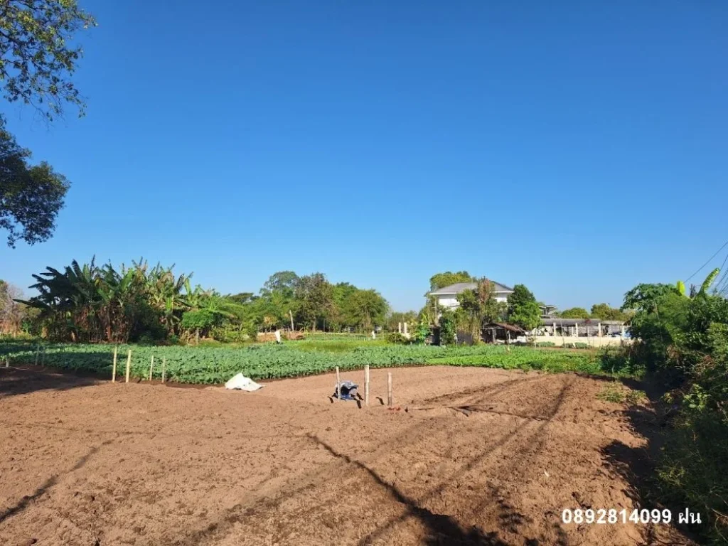 ที่ดินแปลงสวย ทำเลดี ห่าง รพวารินชำราบ 400 เมตร เอกสารโฉนด