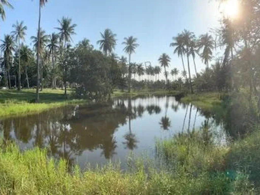 ขาย ที่ดินสวยใกล้ทะเล เหมาะสำหรับทำบ้านพักตากอากาศหรือรีสอร์ท