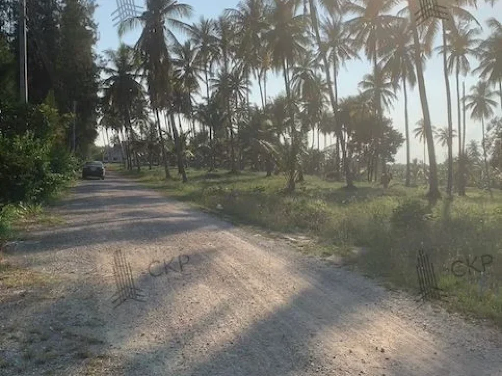 ขาย ที่ดินสวยใกล้ทะเล เหมาะสำหรับทำบ้านพักตากอากาศหรือรีสอร์ท